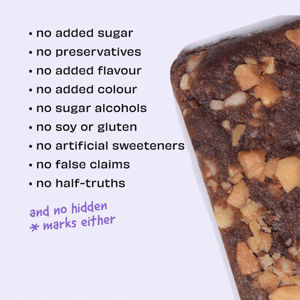 The Whole Truth Peanut Cocoa Fudge Energy bar 40 gms